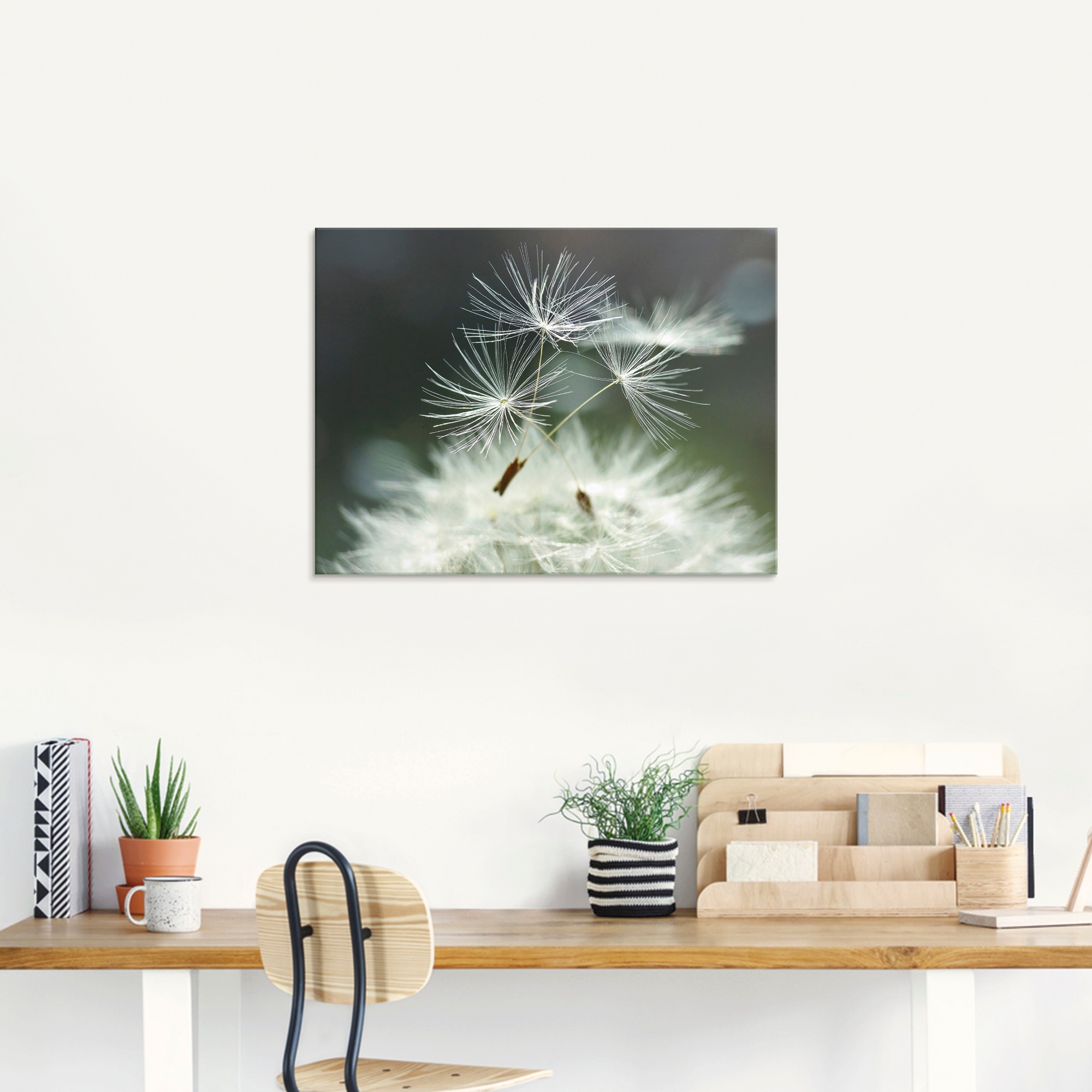 Artland Glasbild »Pusteblume Facility«, Blumen, (1 St.), in verschiedenen Grössen
