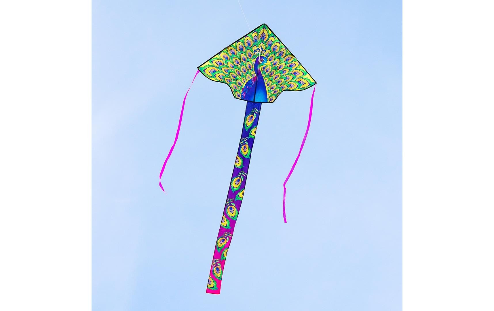 Flug-Drache »Drachen Simple Flyer Peacock«