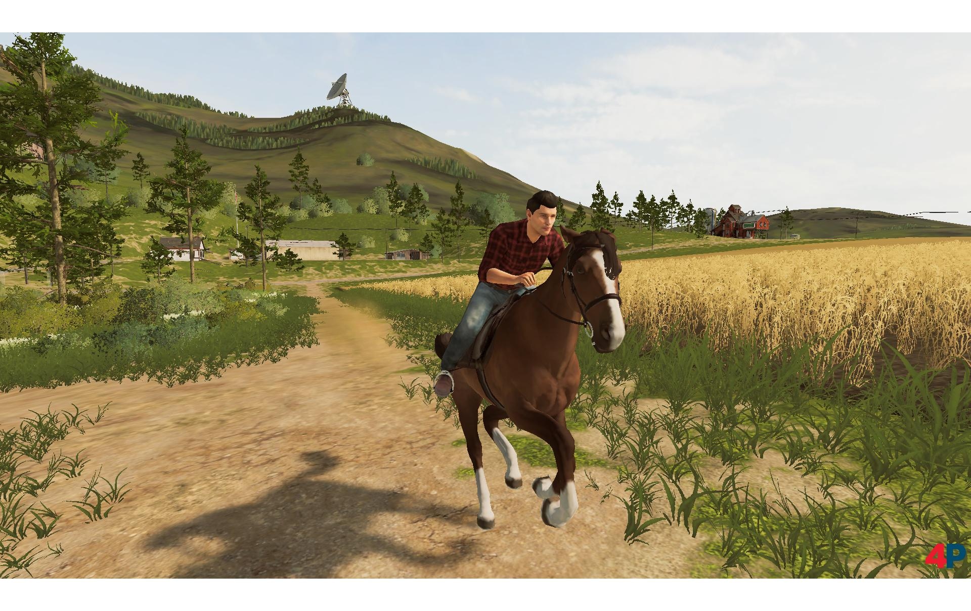 Spielesoftware »Giants Software Landwirtschafts Simulator 19«, Nintendo Switch
