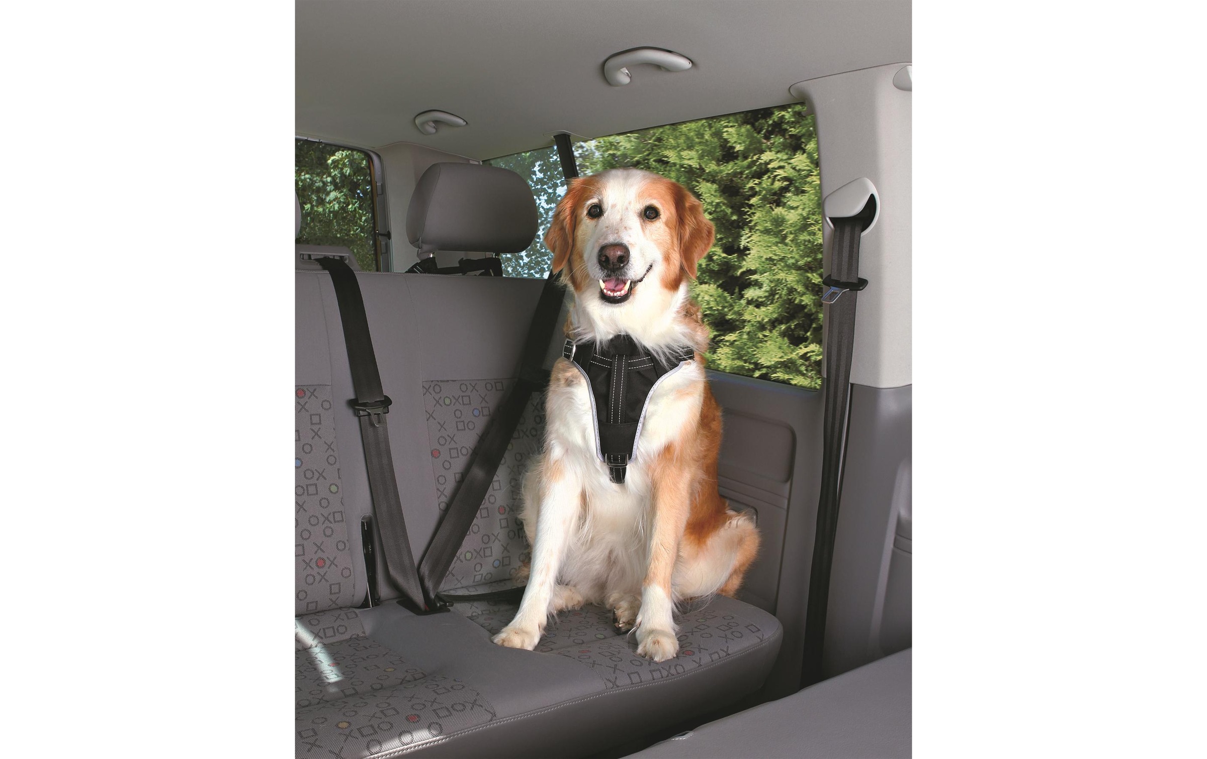 TRIXIE Hunde-Geschirr »Auto-Geschirr Dog Protect«, Nylon