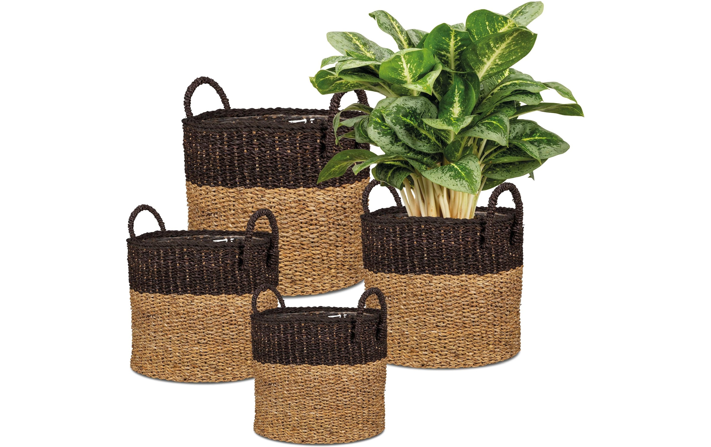 Scheurich Blumentopf »mit Griffen 28 x 24 cm«