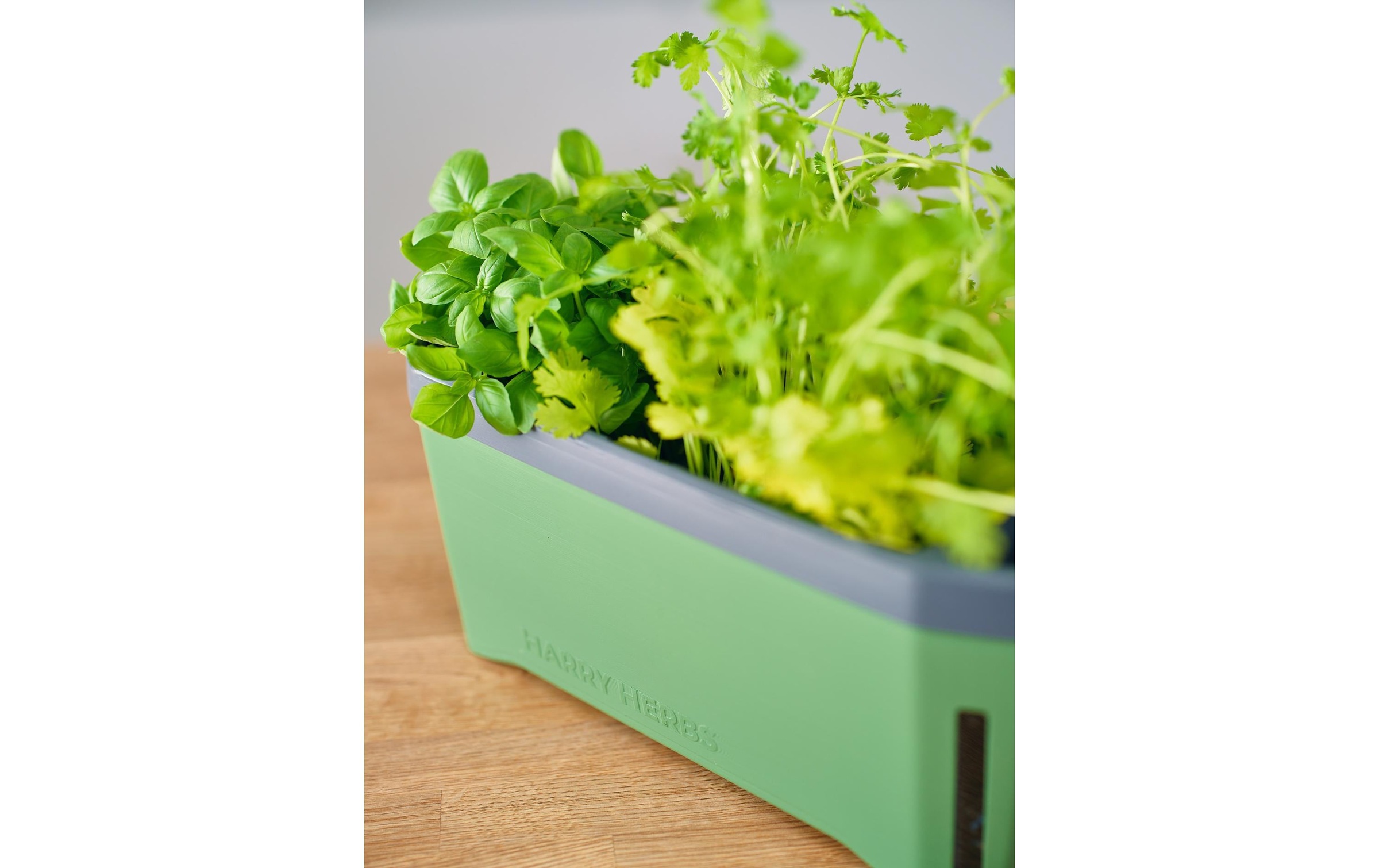 Gusta Garden Kräutertopf »HERBS dunkelgrün«, (1 St.)
