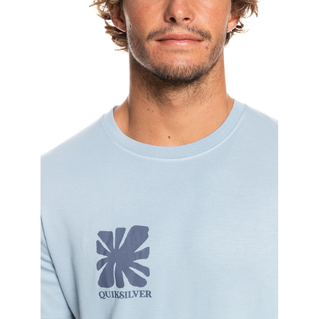 Quiksilver T-Shirt »Handled With Care«