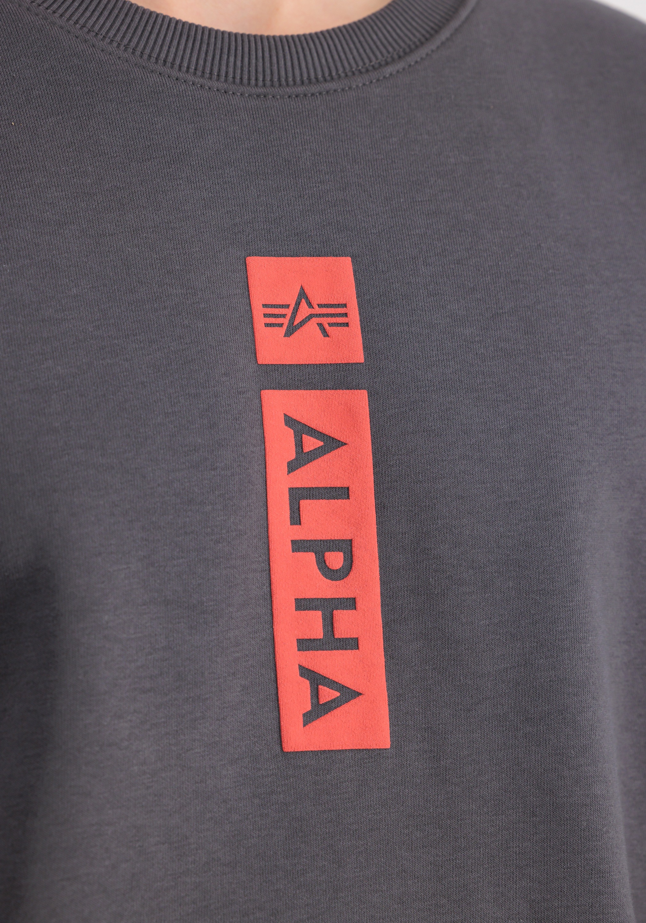 Alpha Industries Sweater »Alpha Industries Men - Sweatshirts Alpha PP Sweatshirt«