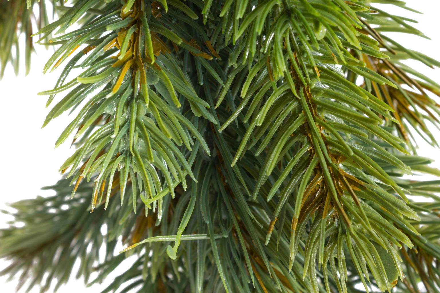 Botanic-Haus Künstliche Zimmerpflanze »Tannengirlande Oslo«