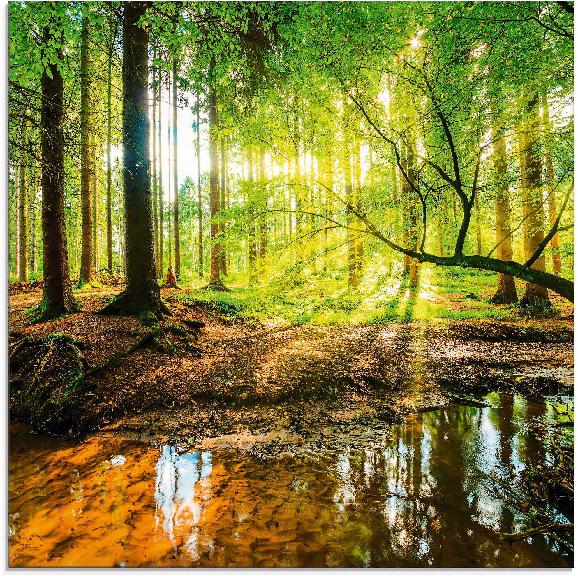 Artland Glasbild »Wald mit Bach«, Wald, (1 St.), in verschiedenen Grössen