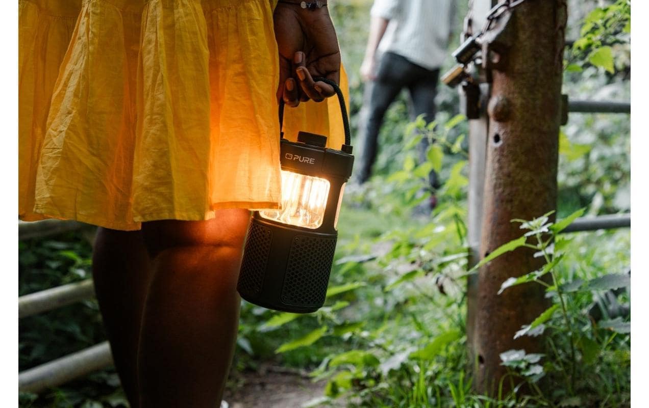 Pure Radio »Woodland Glow«, (Bluetooth)