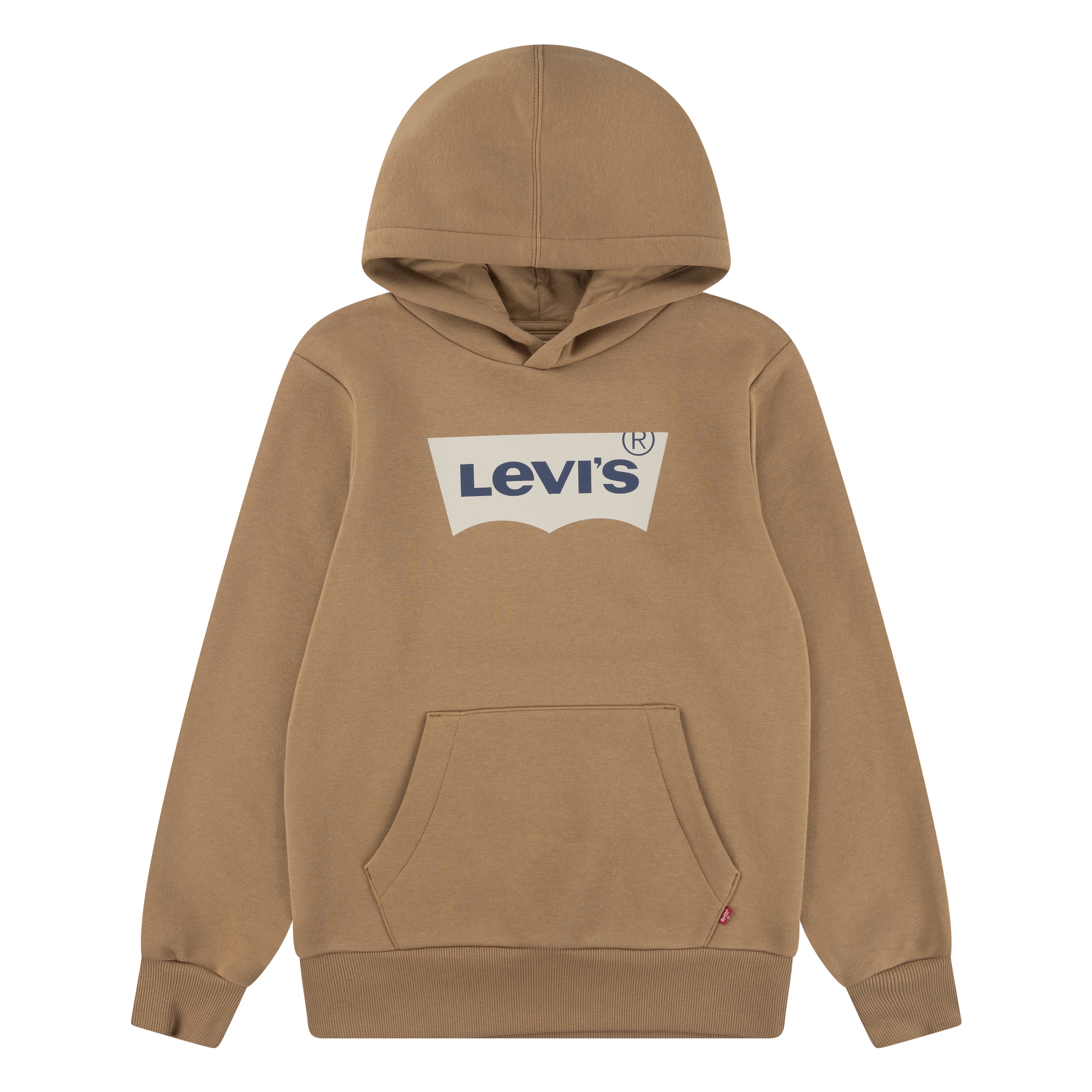 Levi's® Kids Kapuzensweatshirt »LVB BATWING PULLOVER HOODIE«, for BOYS
