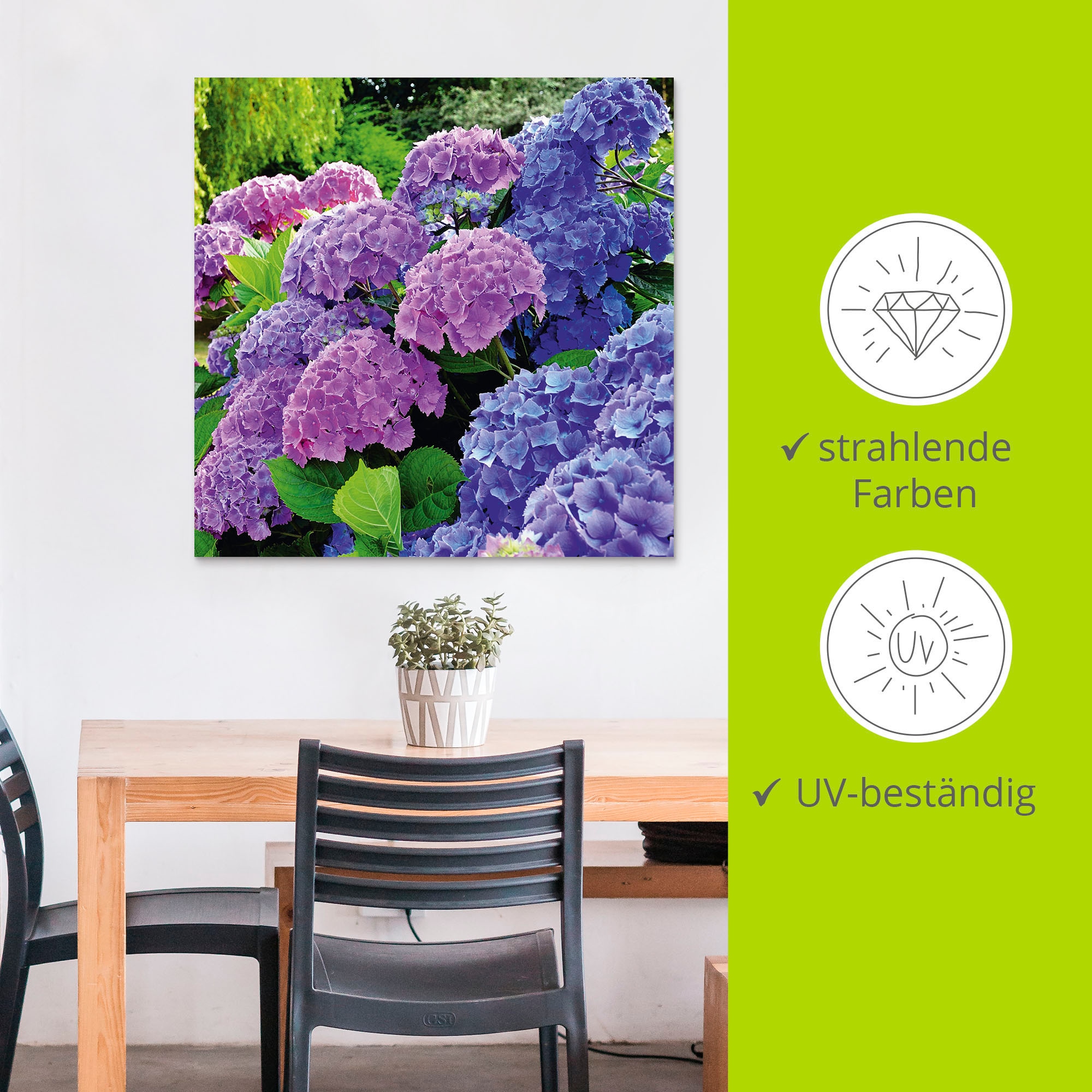 Artland Wandbild »Hortensien im Garten«, Blumen, (1 St.), als Alubild, Outdoorbild, Leinwandbild, Poster, Wandaufkleber