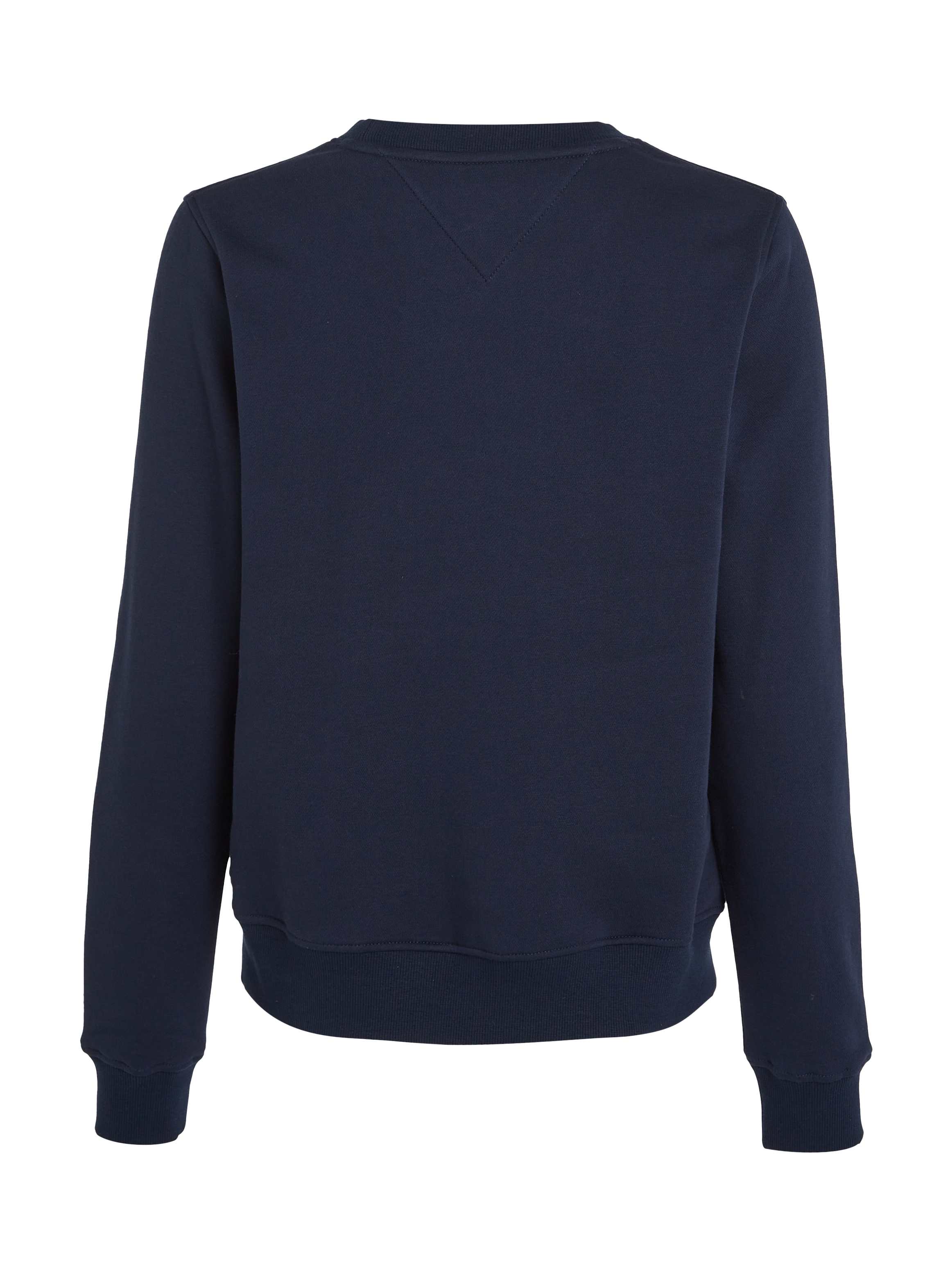 Tommy Jeans Curve Sweatshirt »TJW REG LINEAR CREW EXT«, in Grossen Grössen mit Logoschriftzug