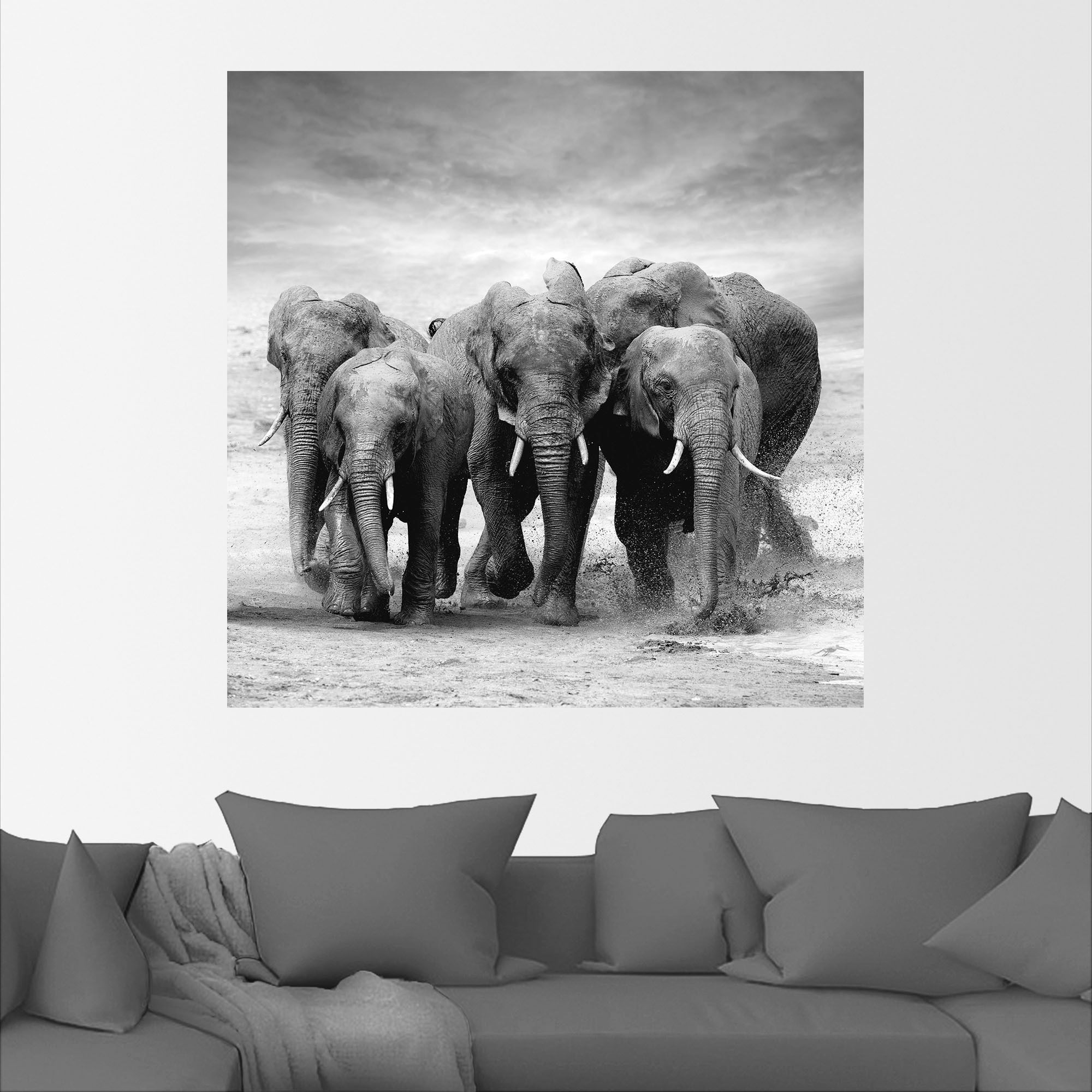 Artland Wandbild »Elefanten«, | Jelmoli-Versand kaufen (1 Poster Wildtiere, versch. Alubild, in Leinwandbild, Grössen St.), als oder Wandaufkleber online