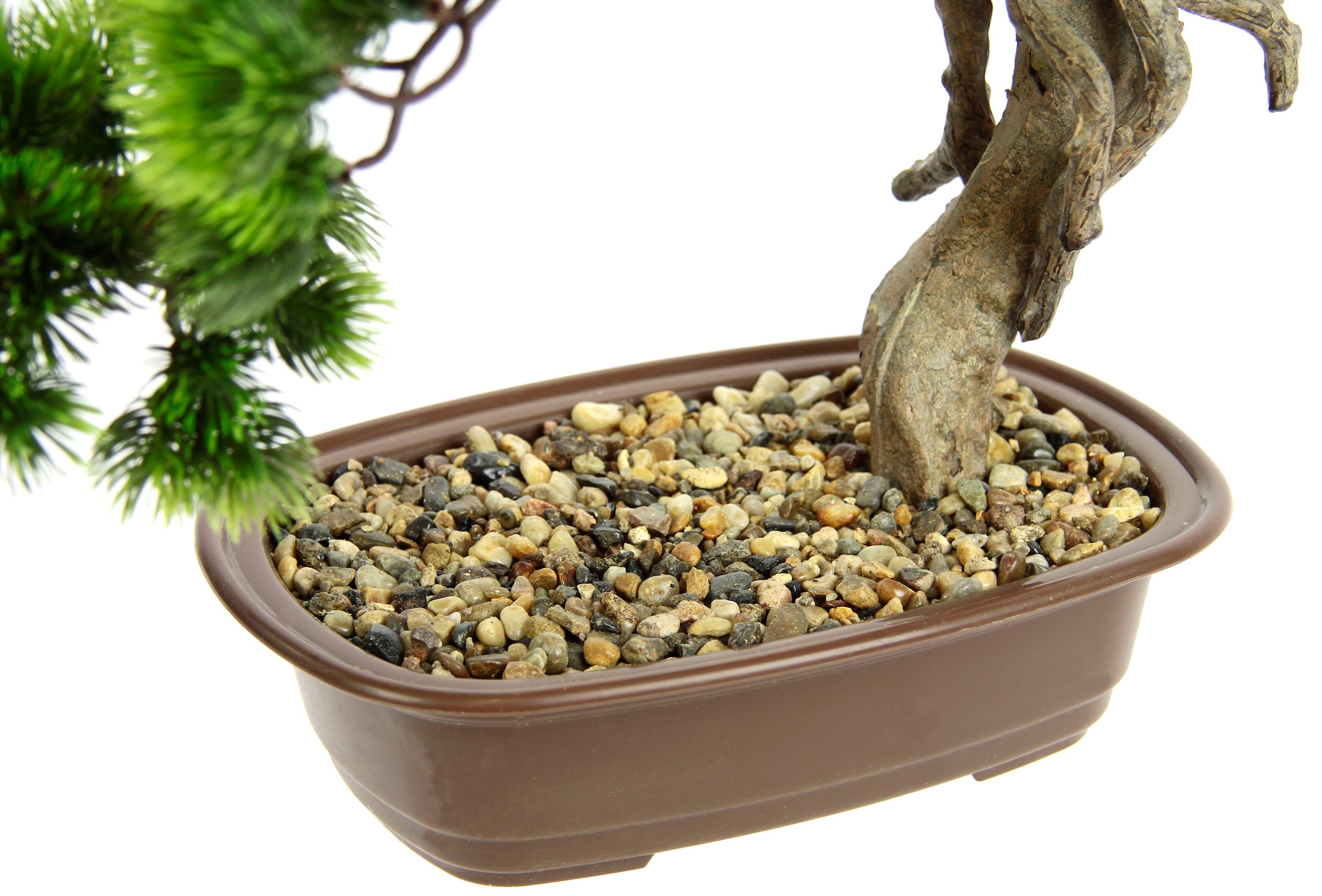 I.GE.A. Kunstpflanze »Bonsai Baum Bäume Garten in | Schale«, shoppen Jelmoli-Versand online Zen Exotische