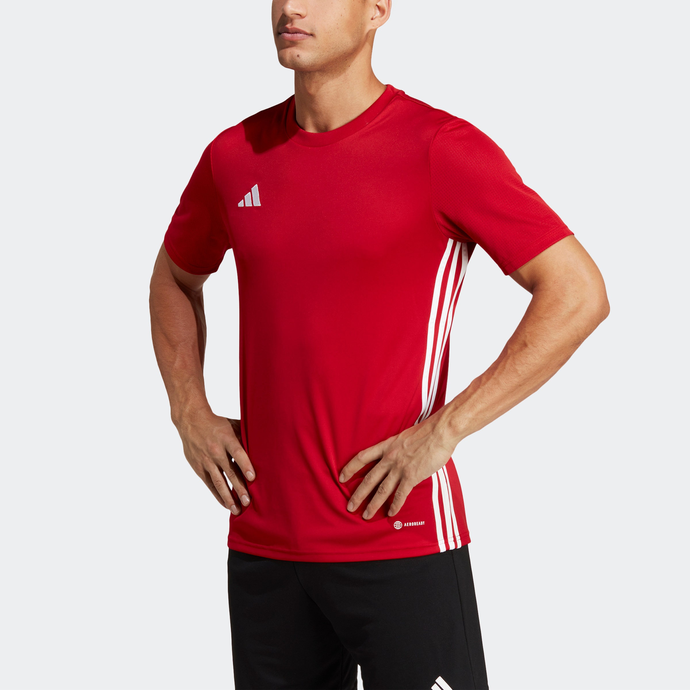 adidas Performance Fussballtrikot »TABELA 23 JSY«