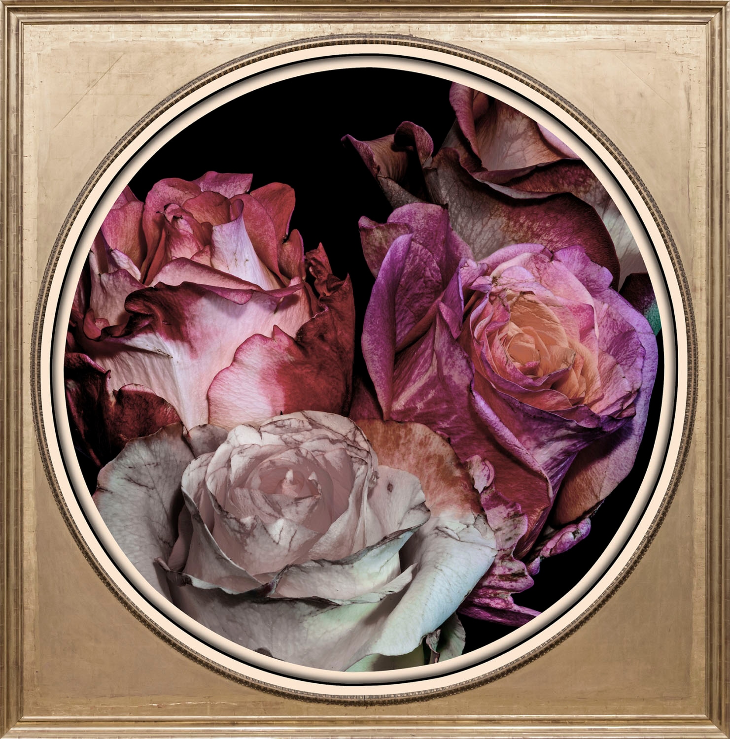 queence Acrylglasbild "Blumen" Blumen  Blumenbilder  Gemälde  Kunst  Pflanzen  Pflanzenbilder Fine Art-Print in Galeriequalität