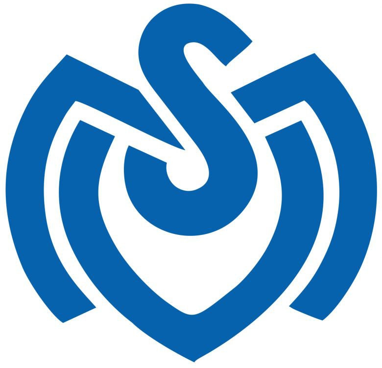 Wandtattoo »MSV Duisburg Retro Logo«, (1 St.), selbstklebend, entfernbar