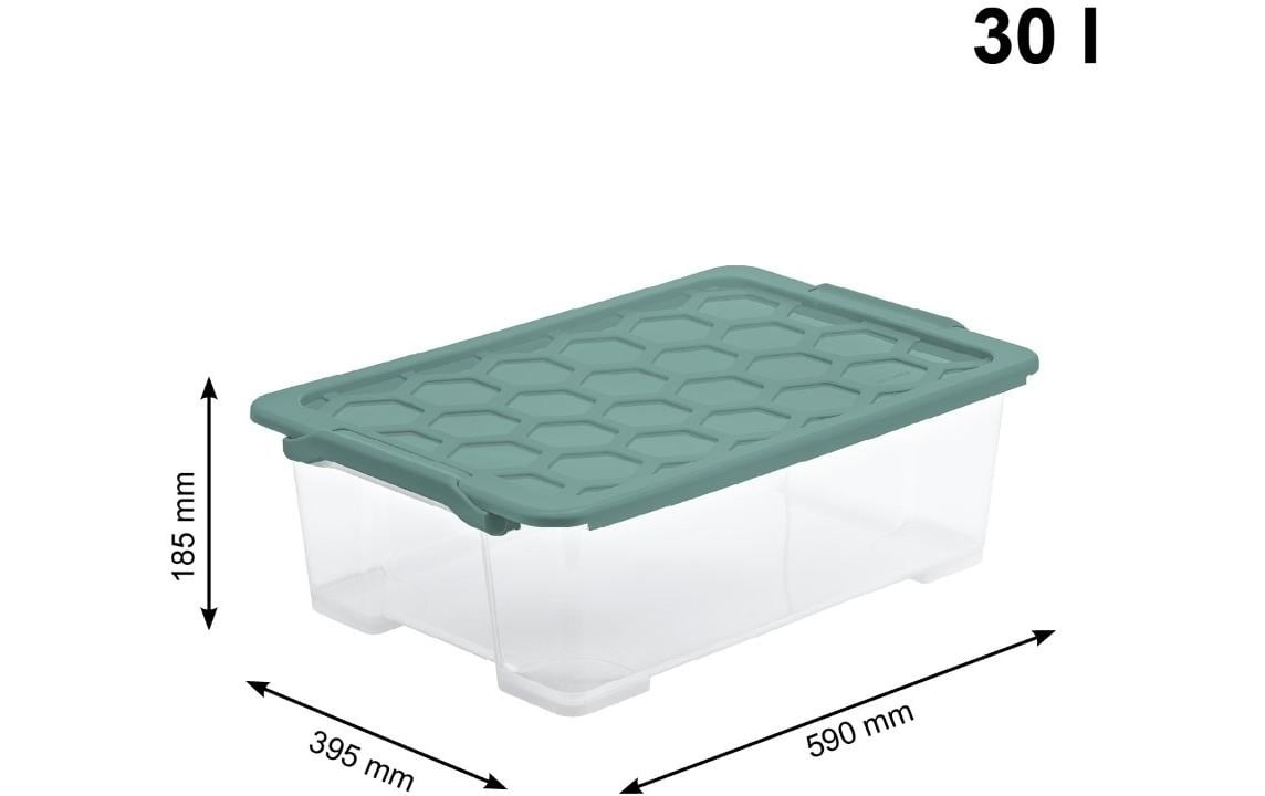 ROTHO Aufbewahrungsbox »30 l EVO SAFE«