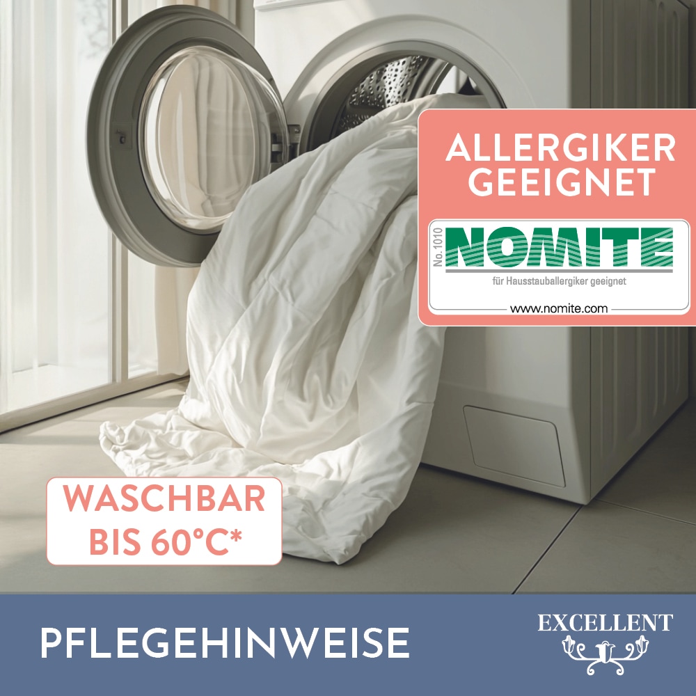 Excellent Daunenbettdecke »Überraschungsbox«, warm, Füllung 90% Daunen, 10% Federn, Bezug Baumwolle, (1 St.), absoluter Sonderpreis, wegen Lagerräumung, Solange der Vorrat reicht