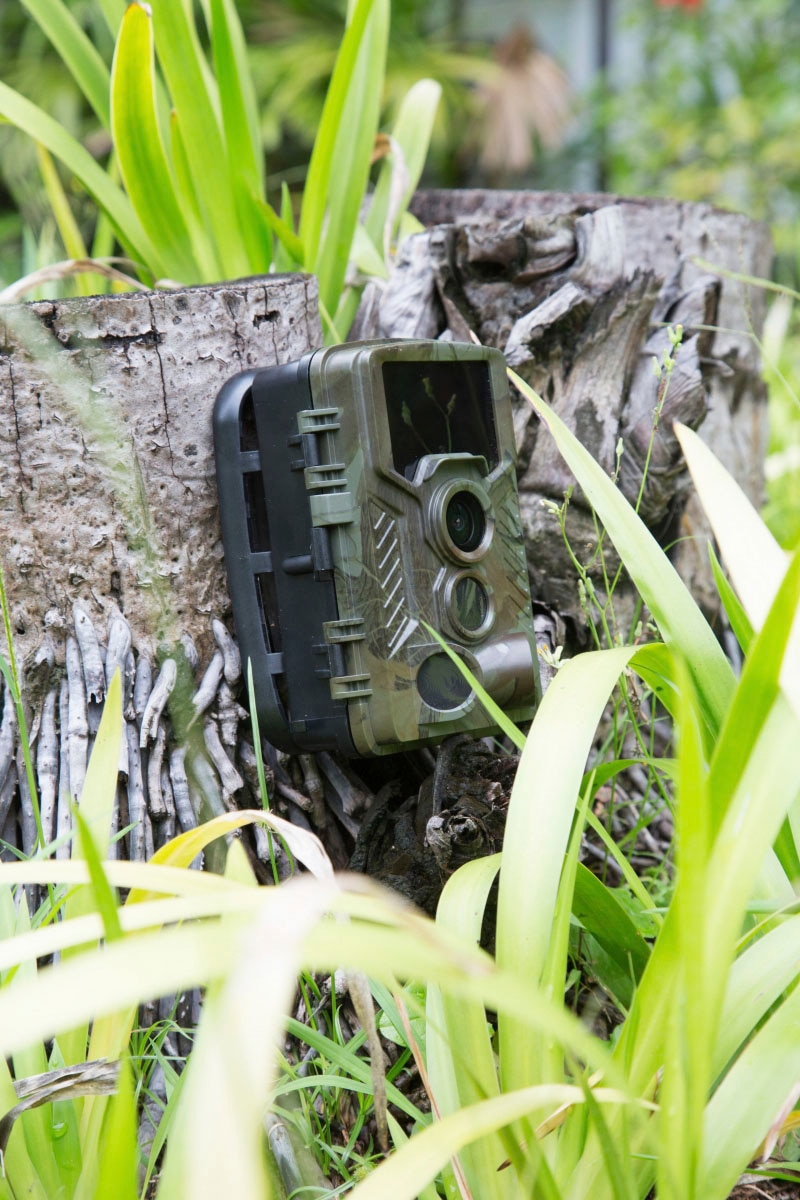 Technaxx Überwachungskamera »Nature Wild Cam 8MP TX-125«, Innenbereich-Aussenbereich, (1 tlg.)
