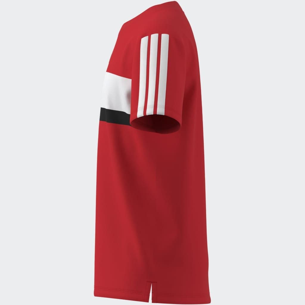 adidas Sportswear T-Shirt »J 3S TIB T«