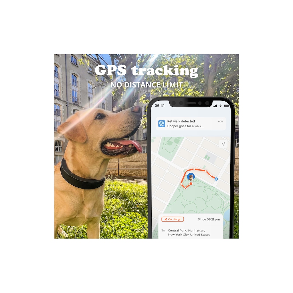 GPS-Tracker »Invoxia Smart Dog Collar L, Midnight Black«