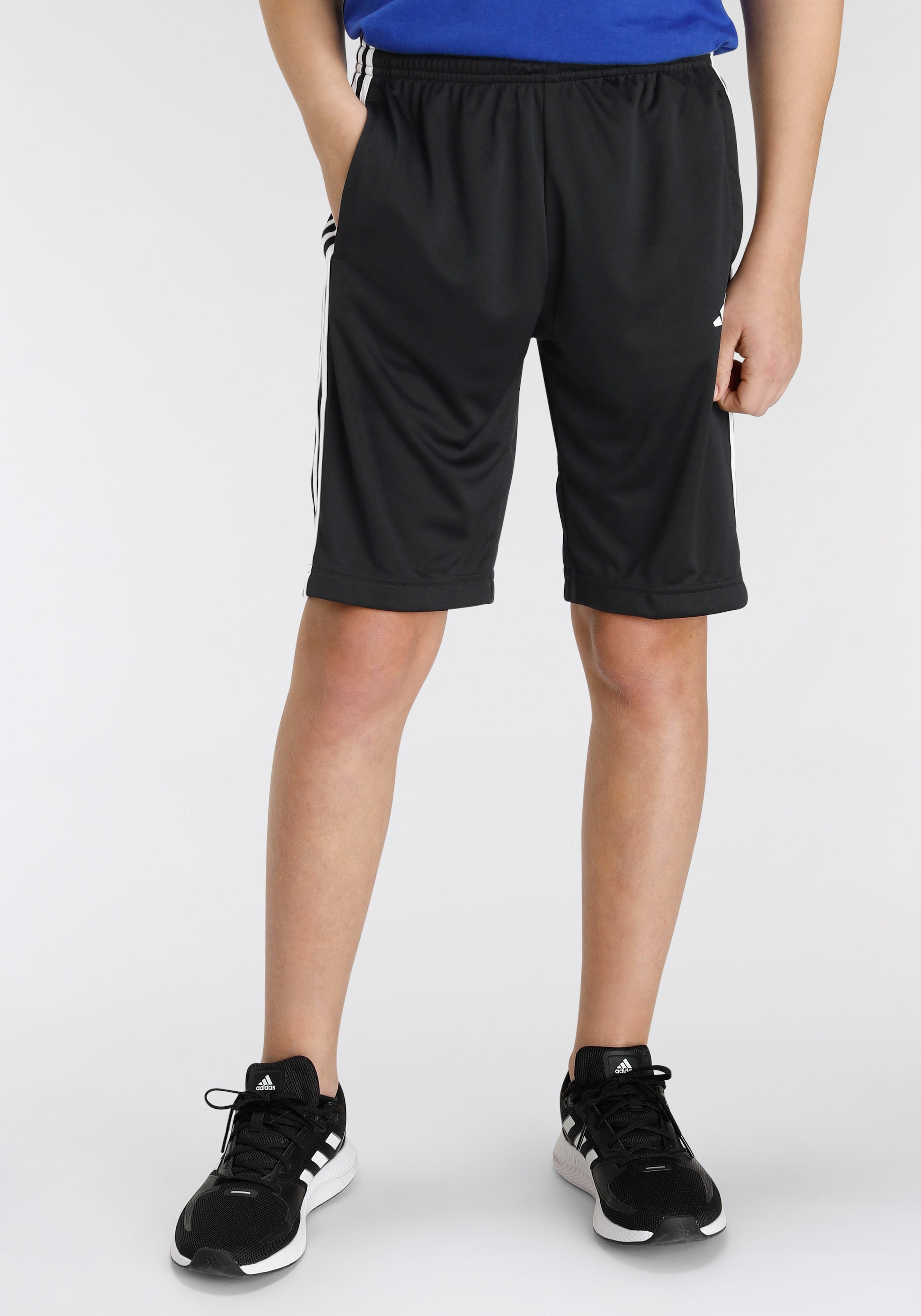 Jelmoli-Versand Shorts (1 ordern günstig 3-STREIFEN Sportswear »TRAIN REGULAR- AEROREADY ✵ FIT«, tlg.) | adidas ESSENTIALS
