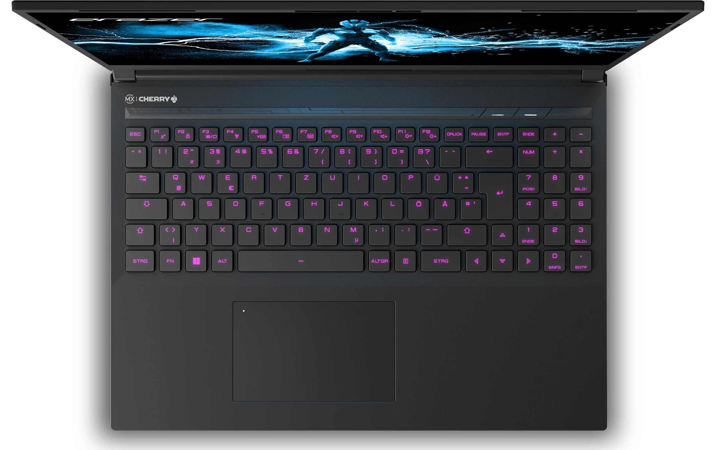 Gaming-Notebook »Erazer Major X20 (MD62617)«, 40,48 cm, / 16 Zoll, Intel, Core i9, GeForce RTX 4070, 2000 GB SSD