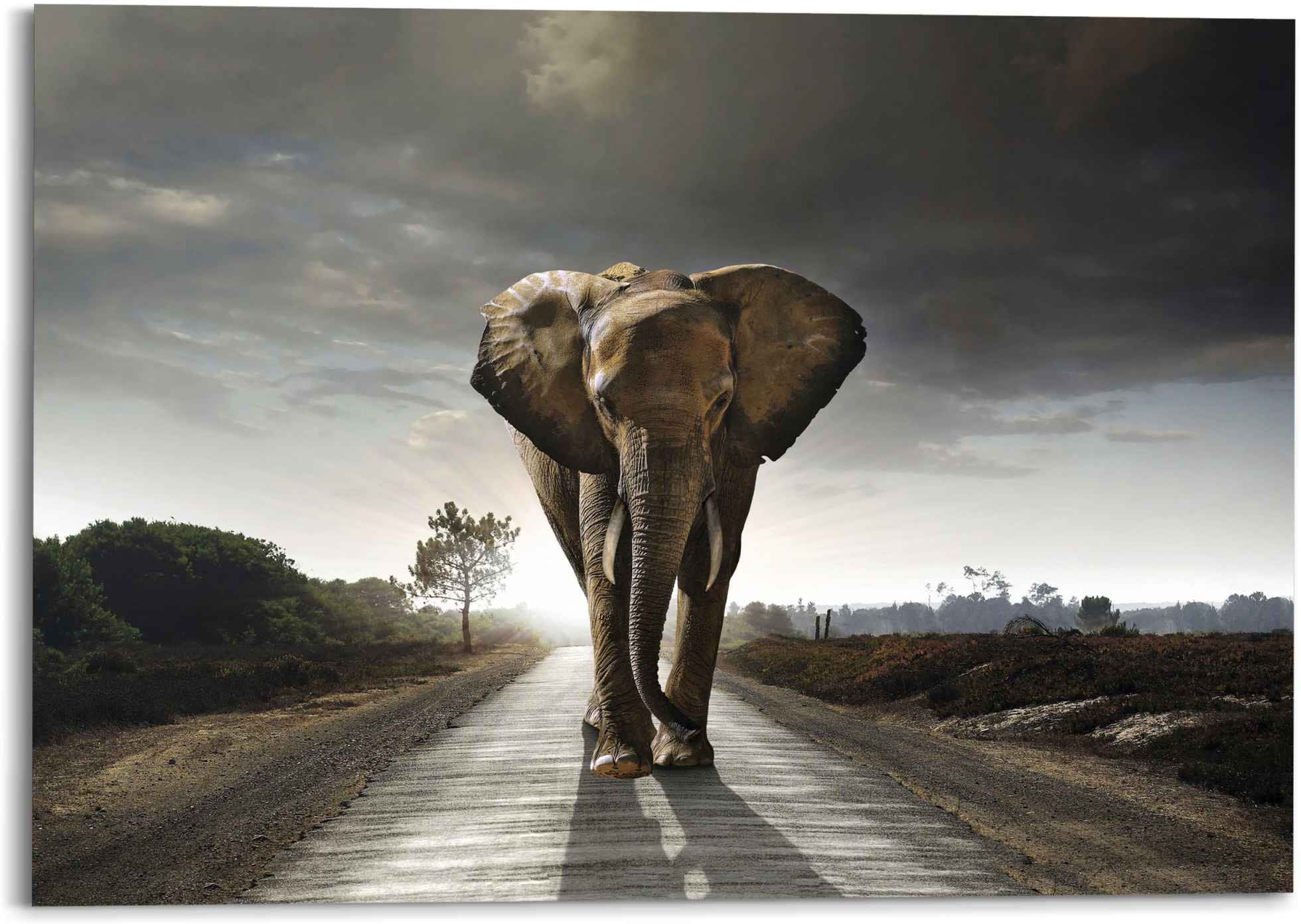 läuft Jelmoli-Versand Holzbild auf kaufen Strasse«, »Ein (1 Artland Elefant | St.) online der