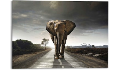 Artland Holzbild »Ein Elefant läuft auf der Strasse«, (1 St.) online kaufen  | Jelmoli-Versand