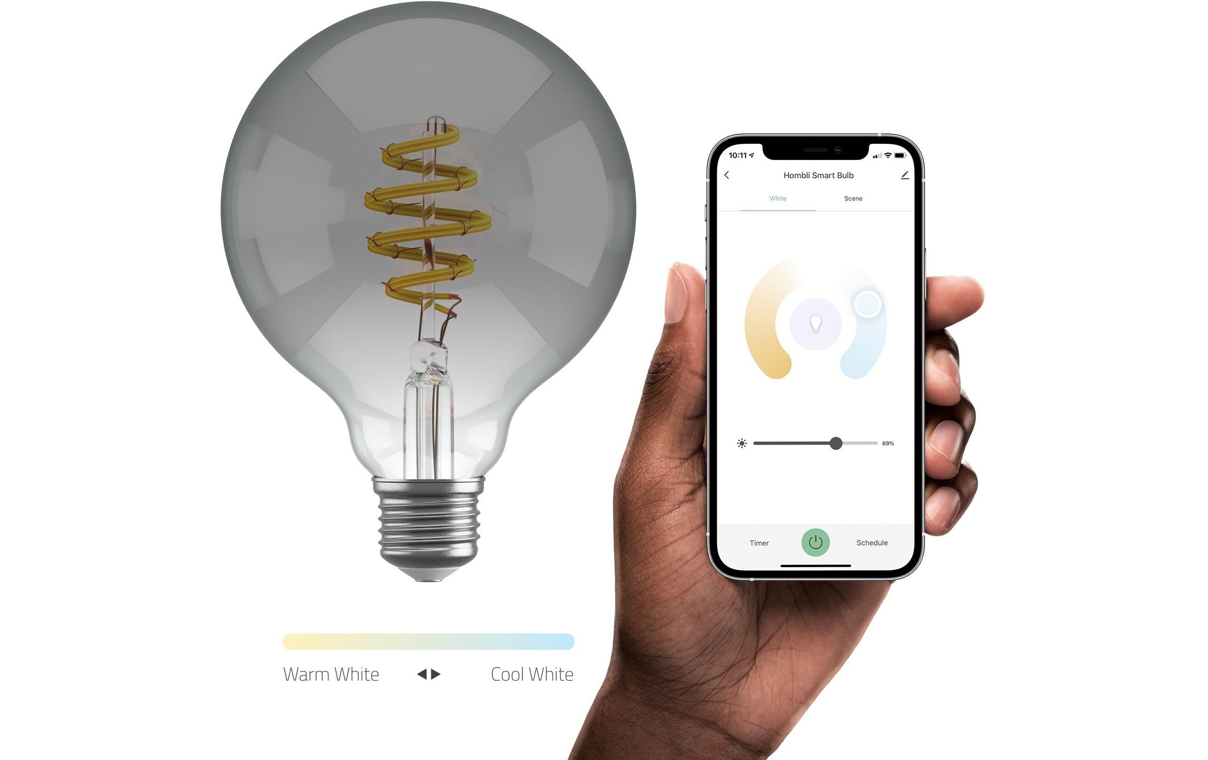 Hombli LED-Leuchtmittel »Smart Filament Bulb E27 Smokey Globe«, E27, 1 St., Kaltweiss-Neutralweiss-Tageslichtweiss-Warmweiss