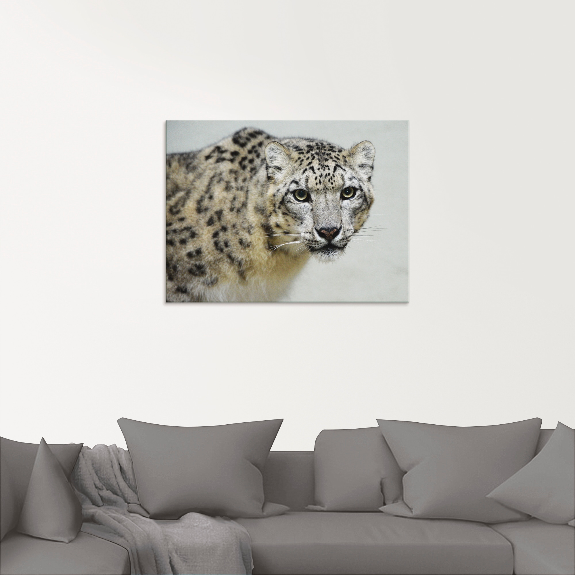 Artland Glasbild »Schneeleopard«, Wildtiere, (1 St.), in verschiedenen Grössen