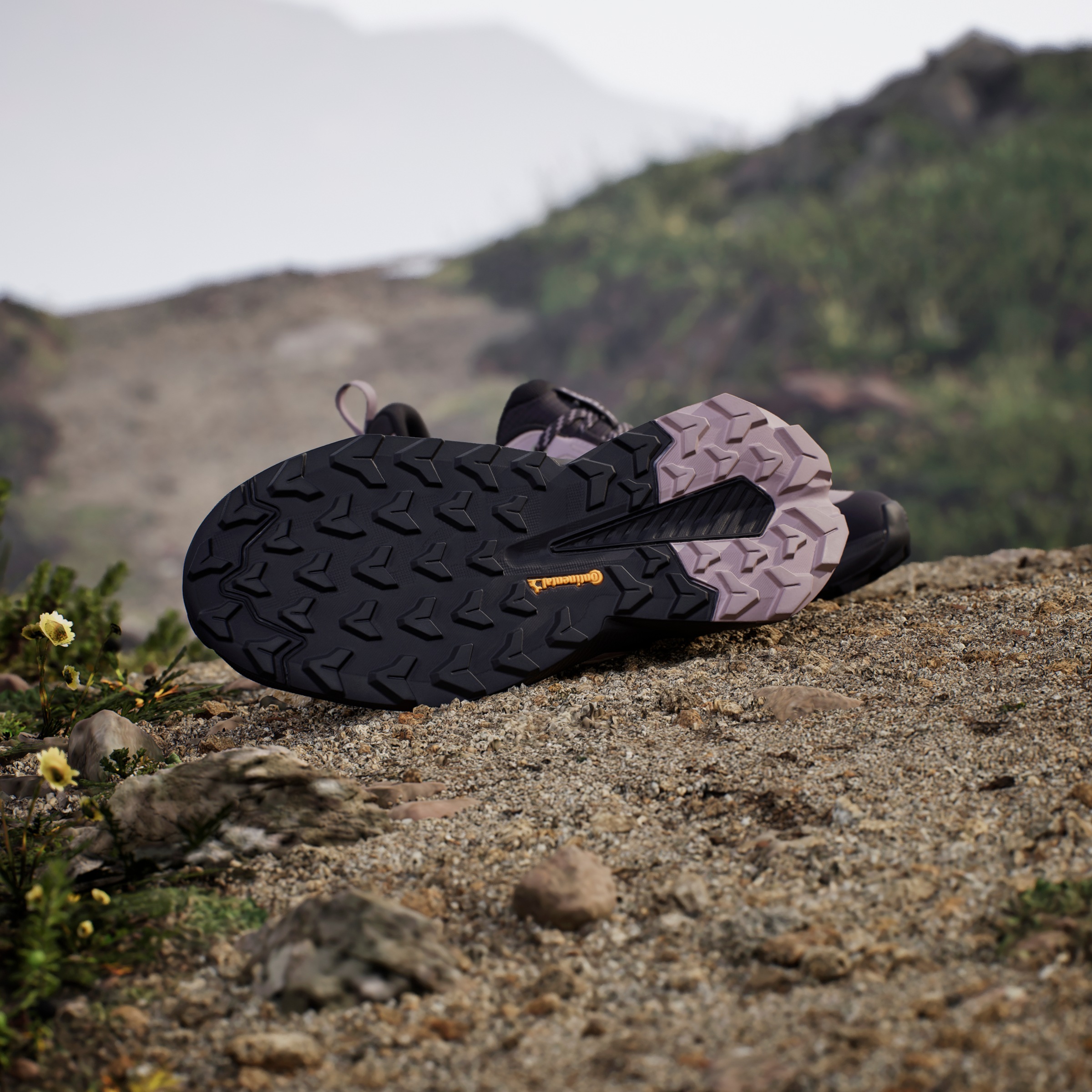 adidas TERREX Wanderschuh »TERREX TRAILMAKER 2.0 GORE-TEX«, wasserdicht