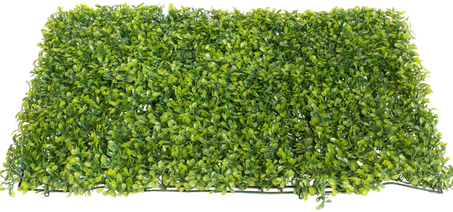Künstliche Jelmoli-Versand Zimmerpflanze kaufen online gross« »Buchsmatte Botanic-Haus |
