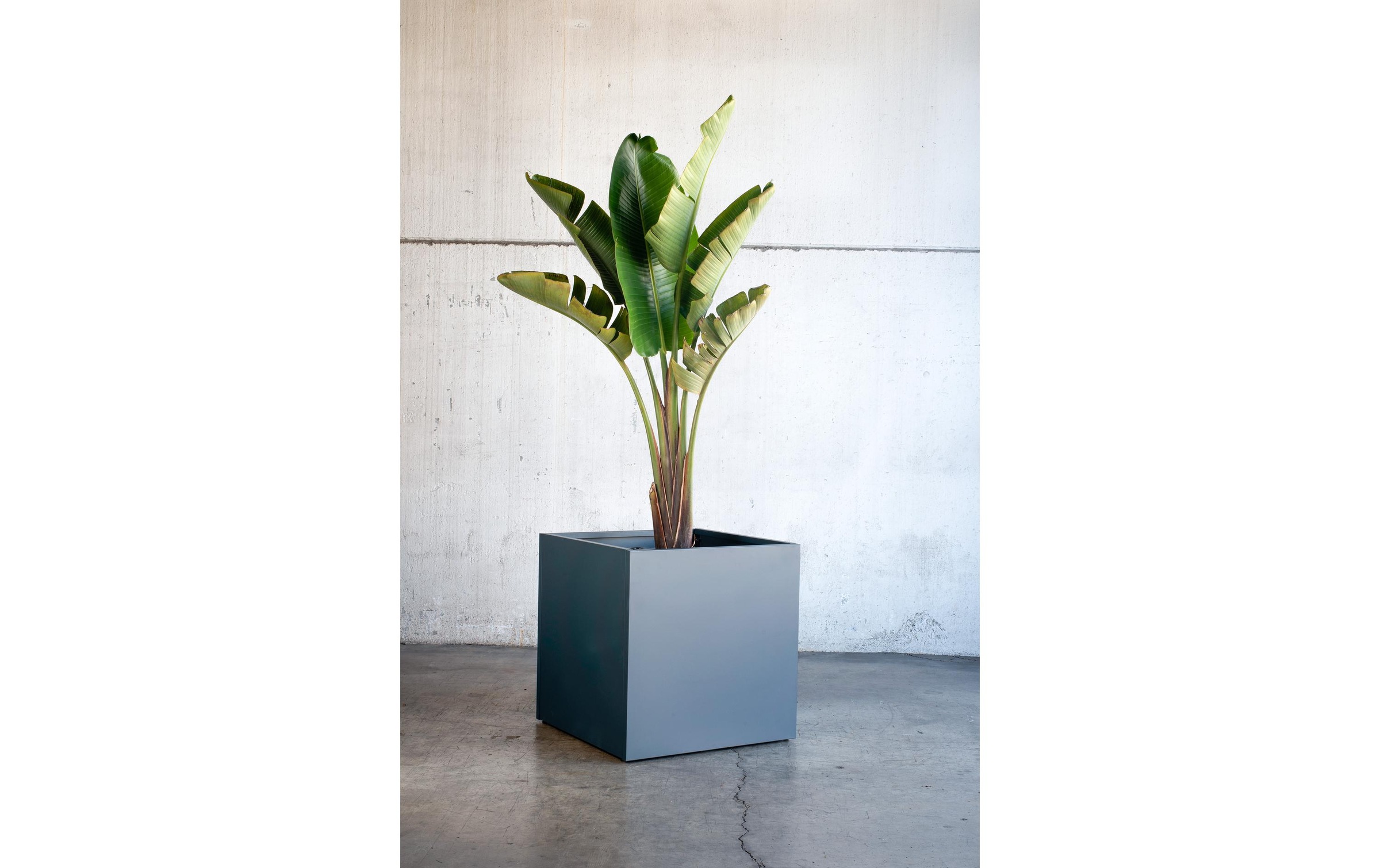 Planter« Garden Pflanzkübel Herstera bestellen | »Metal online Jelmoli-Versand