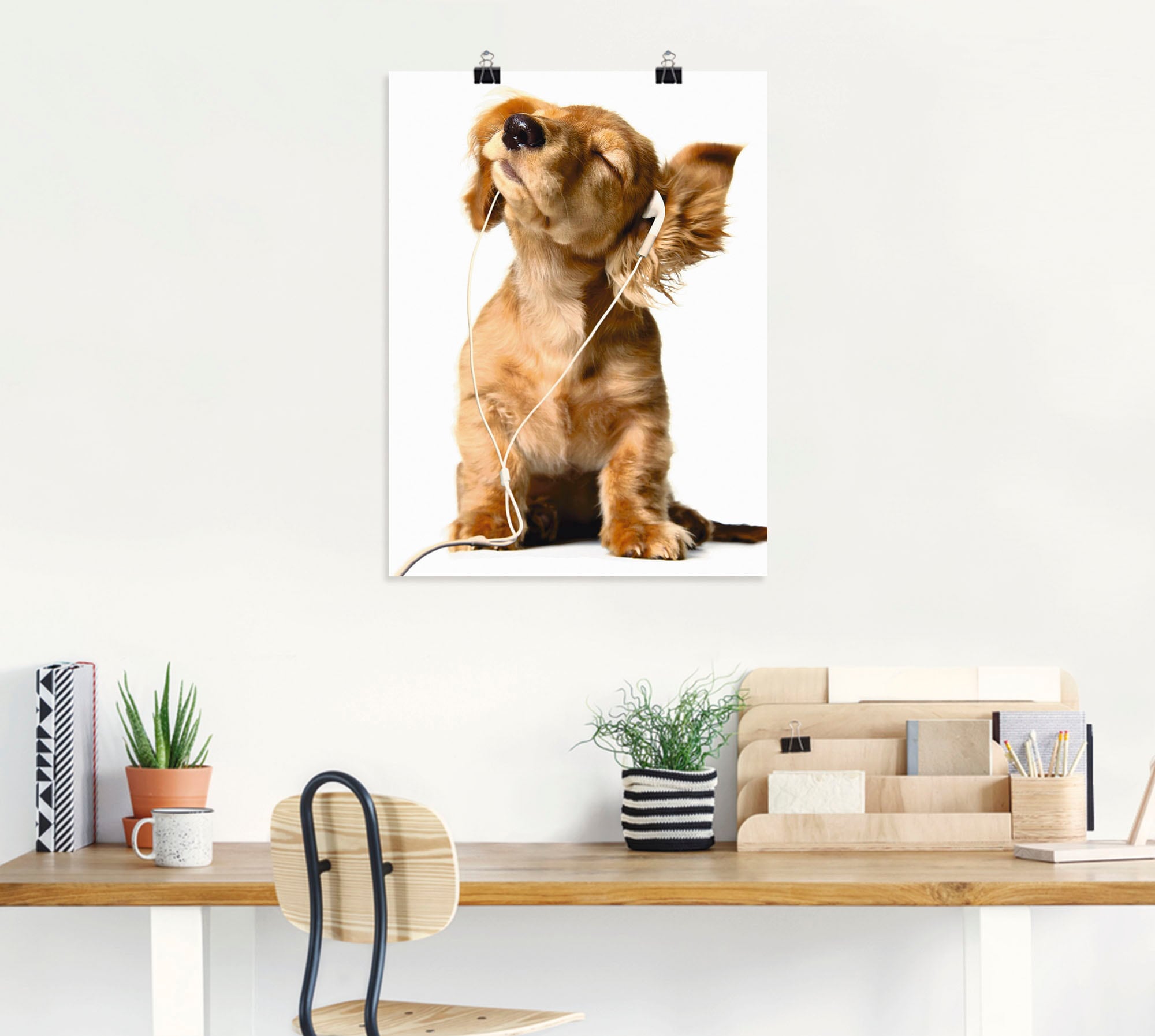Artland Wandbild »Junger Hund hört Musik über Kopfhörer«, Haustiere, (1 St.),  als Leinwandbild, Wandaufkleber oder Poster in versch. Grössen online  bestellen | Jelmoli-Versand