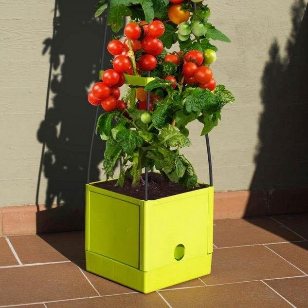 Think Garden Pflanzkübel »Tomaten Tower«