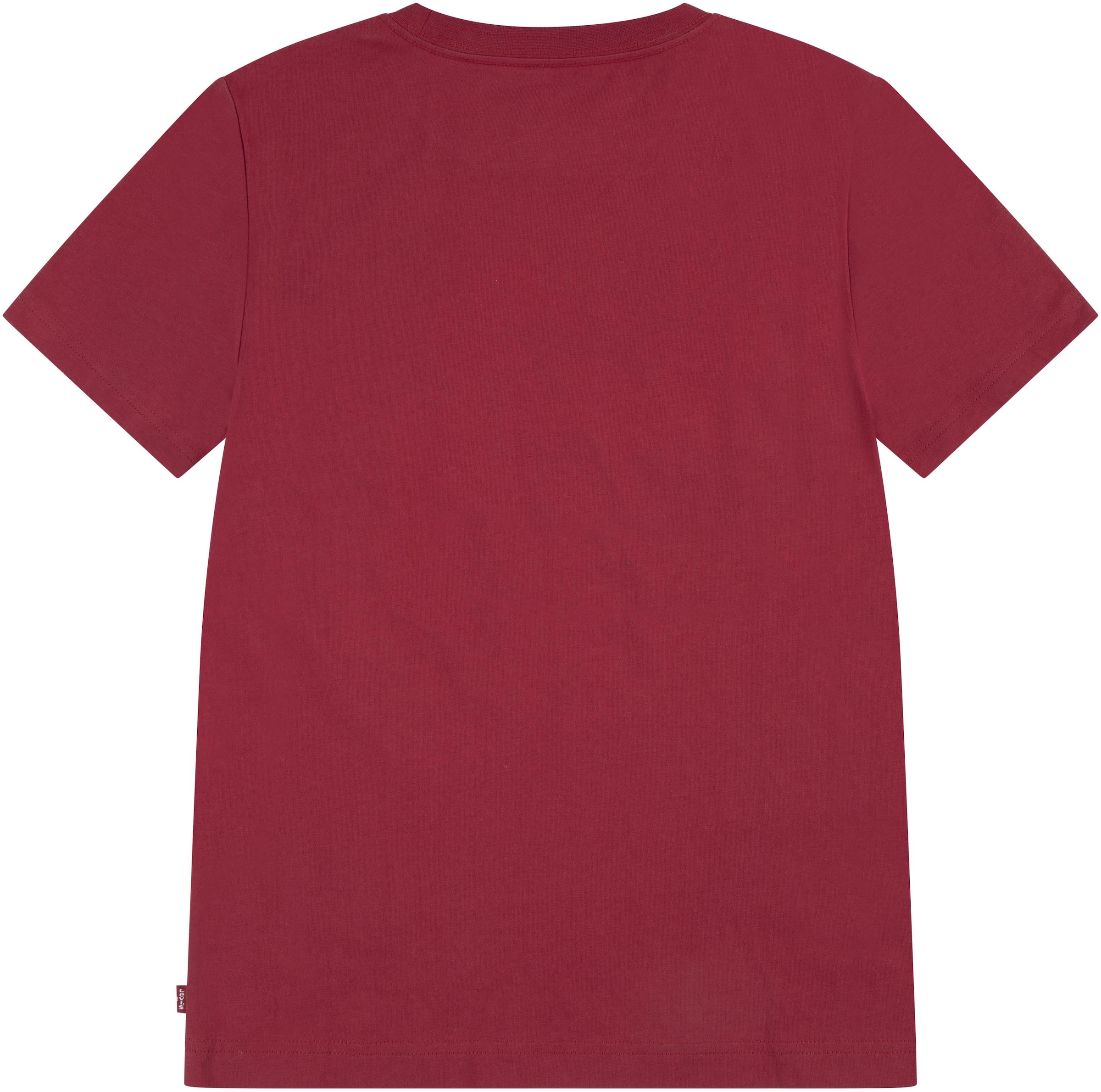 Levi's® Kids Print-Shirt »LVB MAJESTIC MOUNTAINS TEE«, for BOYS aus reiner Baumwolle