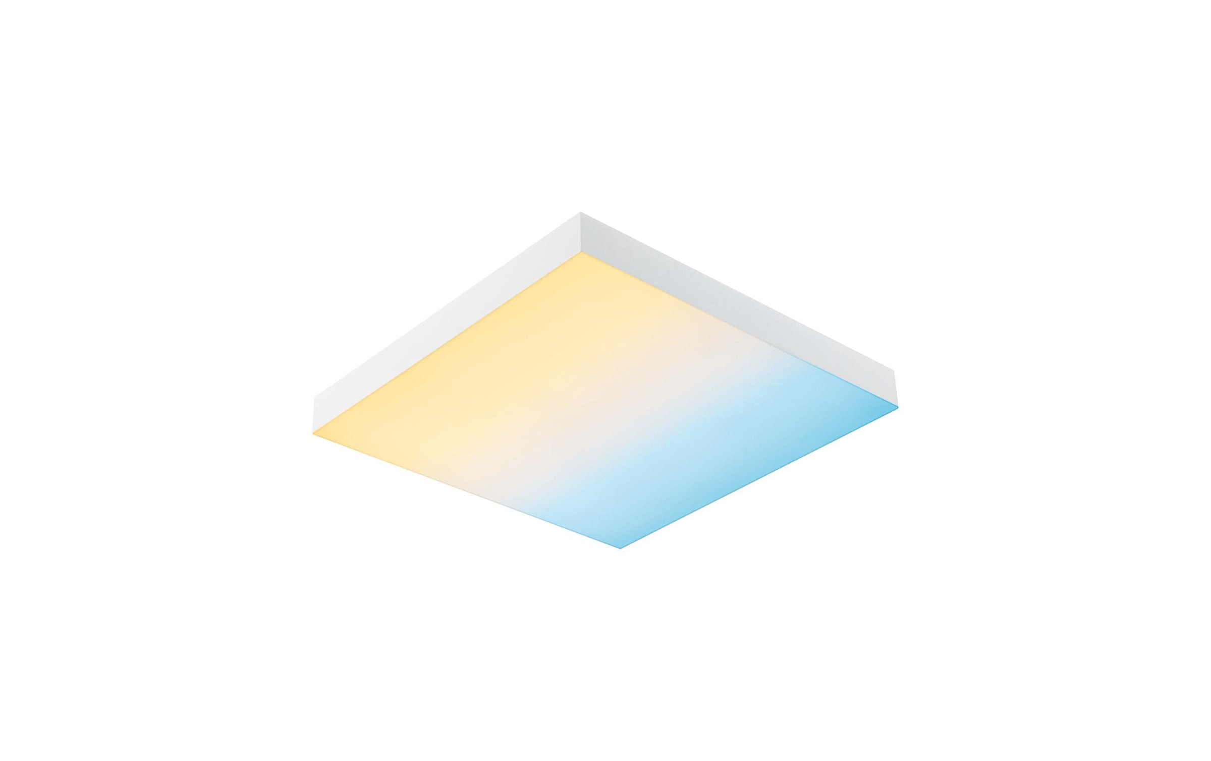 Paulmann Deckenleuchte »LED Panel Ve«, 1 flammig