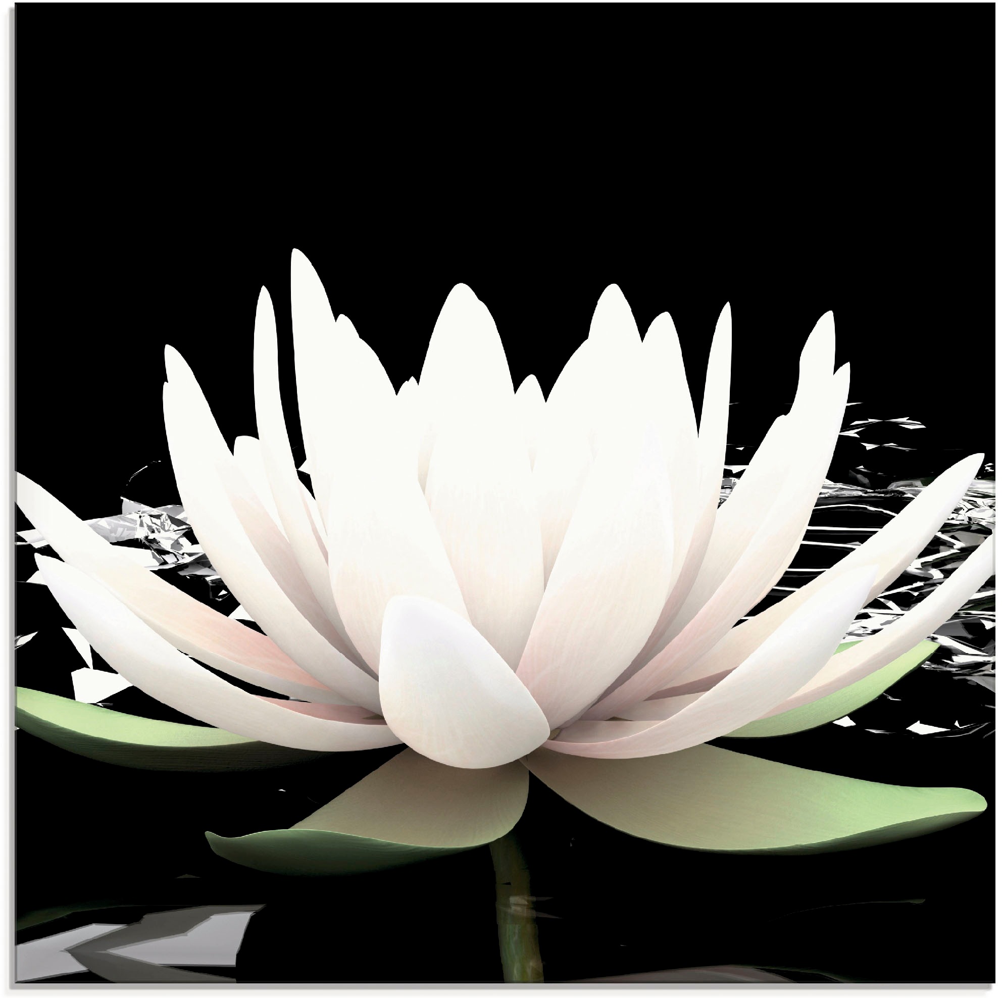 Artland Glasbild »Zwei Lotusblumen auf dem Wasser«, Blumen, (1 St.), in verschiedenen Grössen