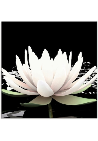Glasbild »Zwei Lotusblumen auf dem Wasser«, Blumen, (1 St.)