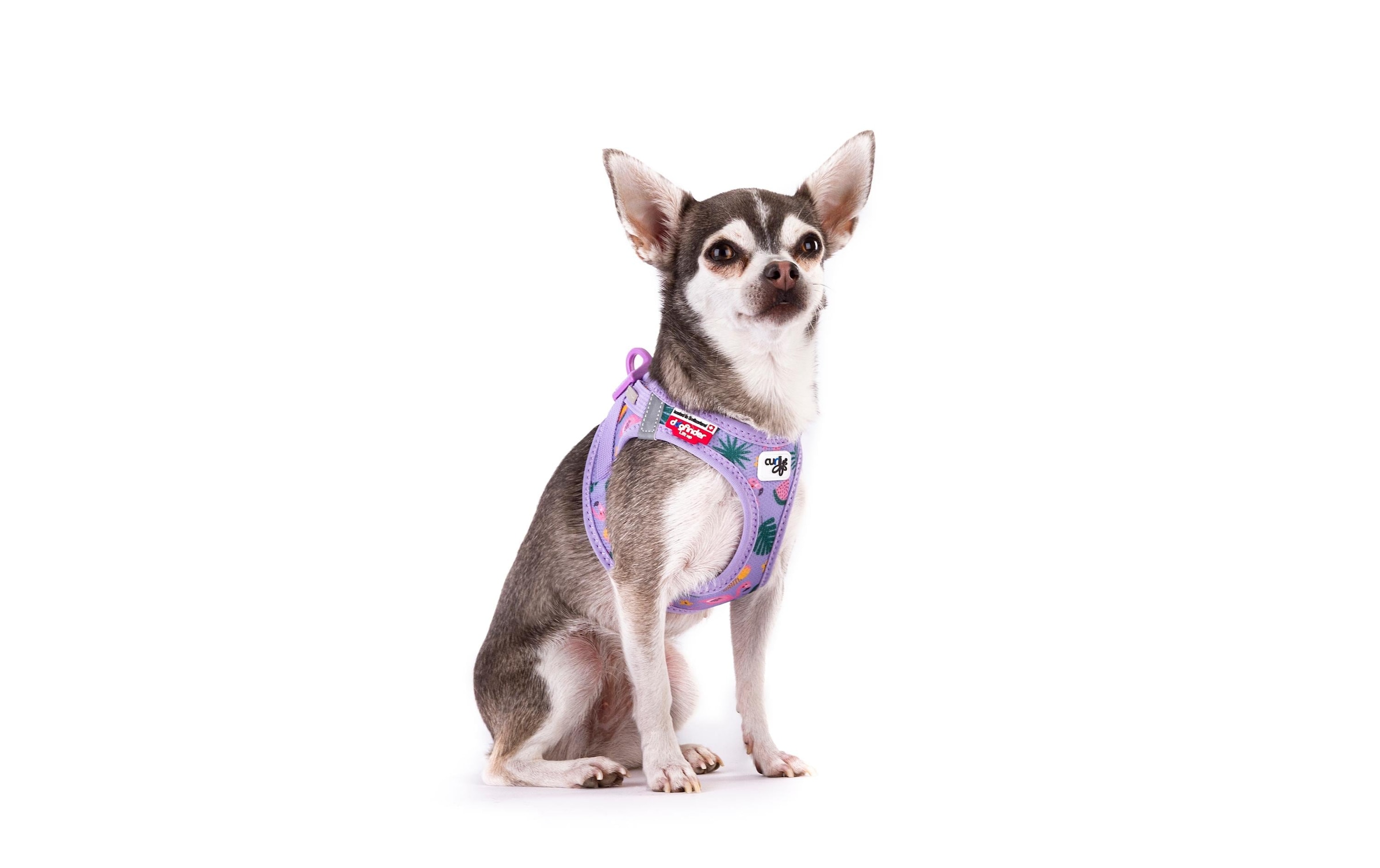 Curli Hunde-Geschirr »Vest Air-Mesh XL, Lavendel-Flamingo, SE 2023«, Polyester