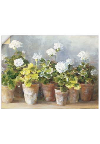 Artland Wandbild »Weisse Geranien«, Blumen, (1 St.), in vielen Grössen & Produktarten... kaufen