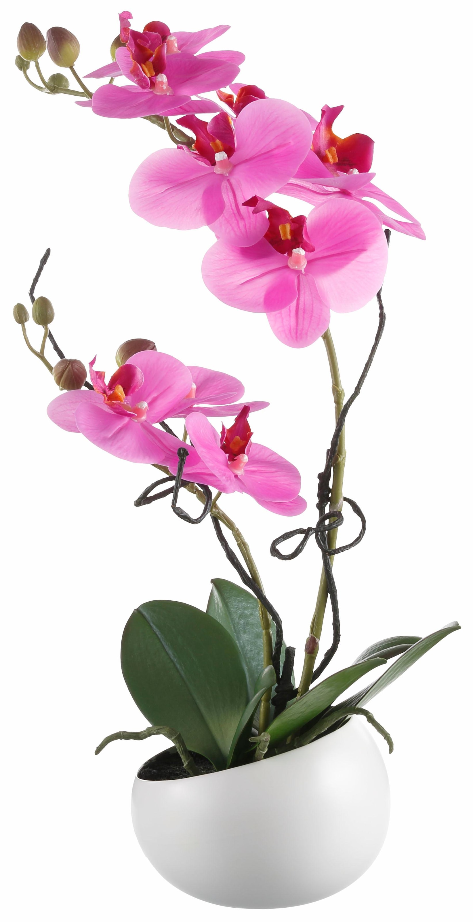 Creativ green Kunstpflanze »Orchidee«