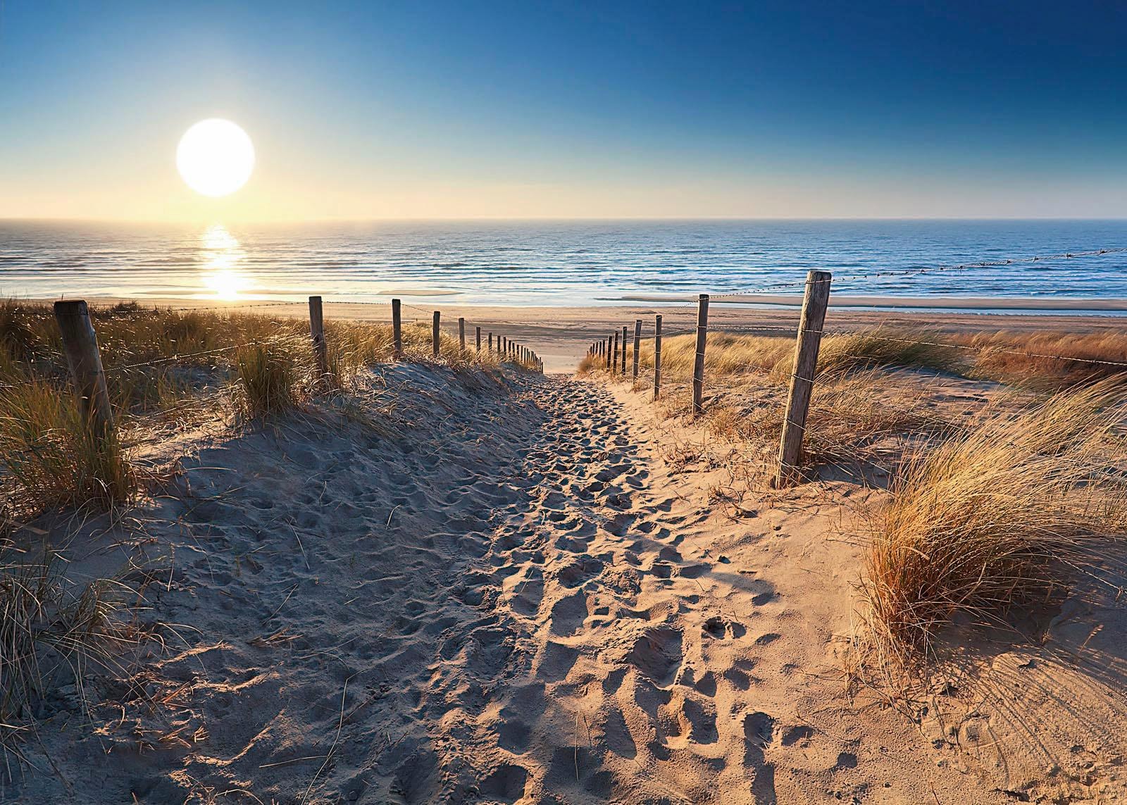 Reinders! Deco-Panel »Dünenweg zum Meer« kaufen