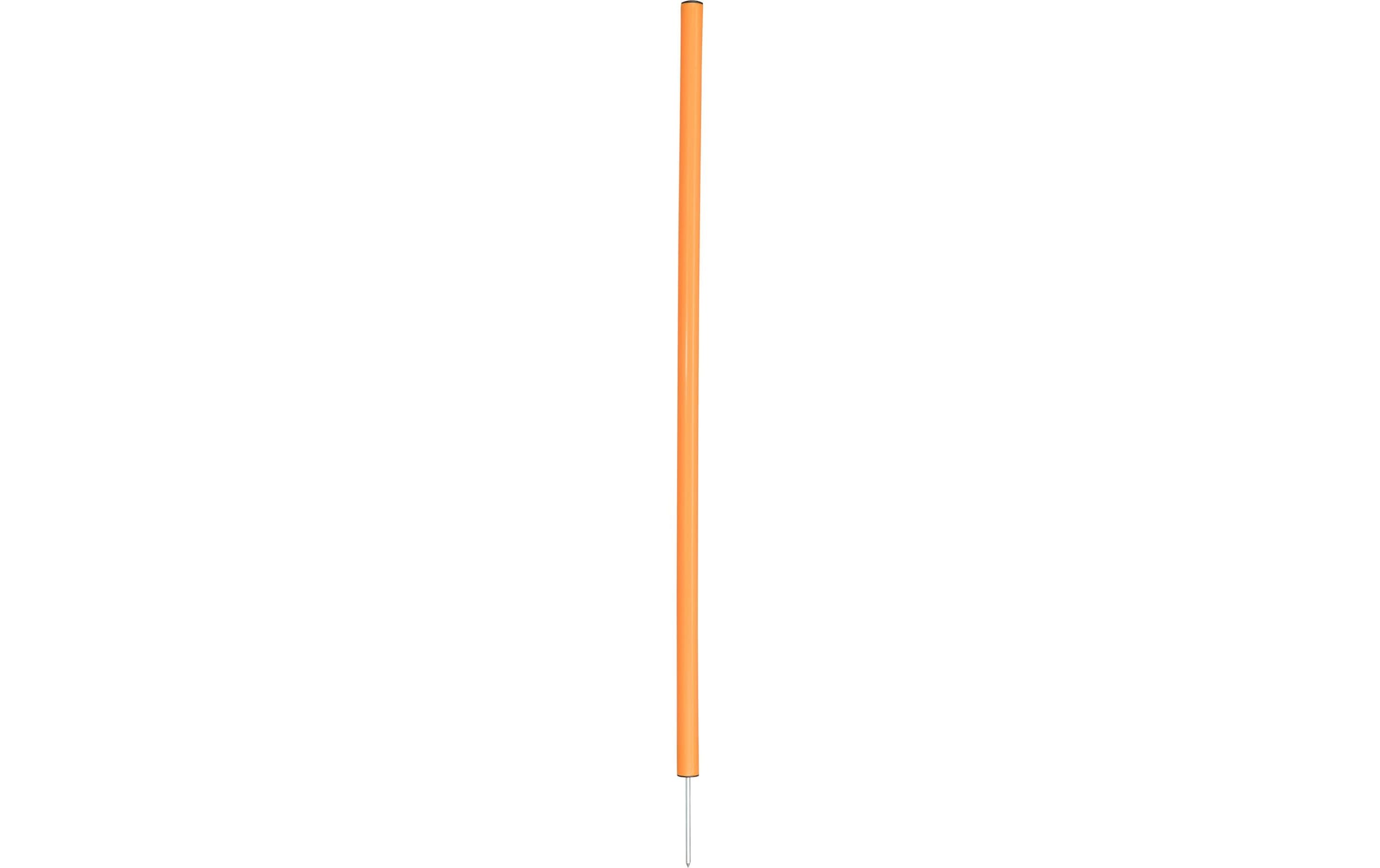TRIXIE Agility-Slalom »Agility Slalom Dog Activity Set, 12 Stangen«, Kunststoff