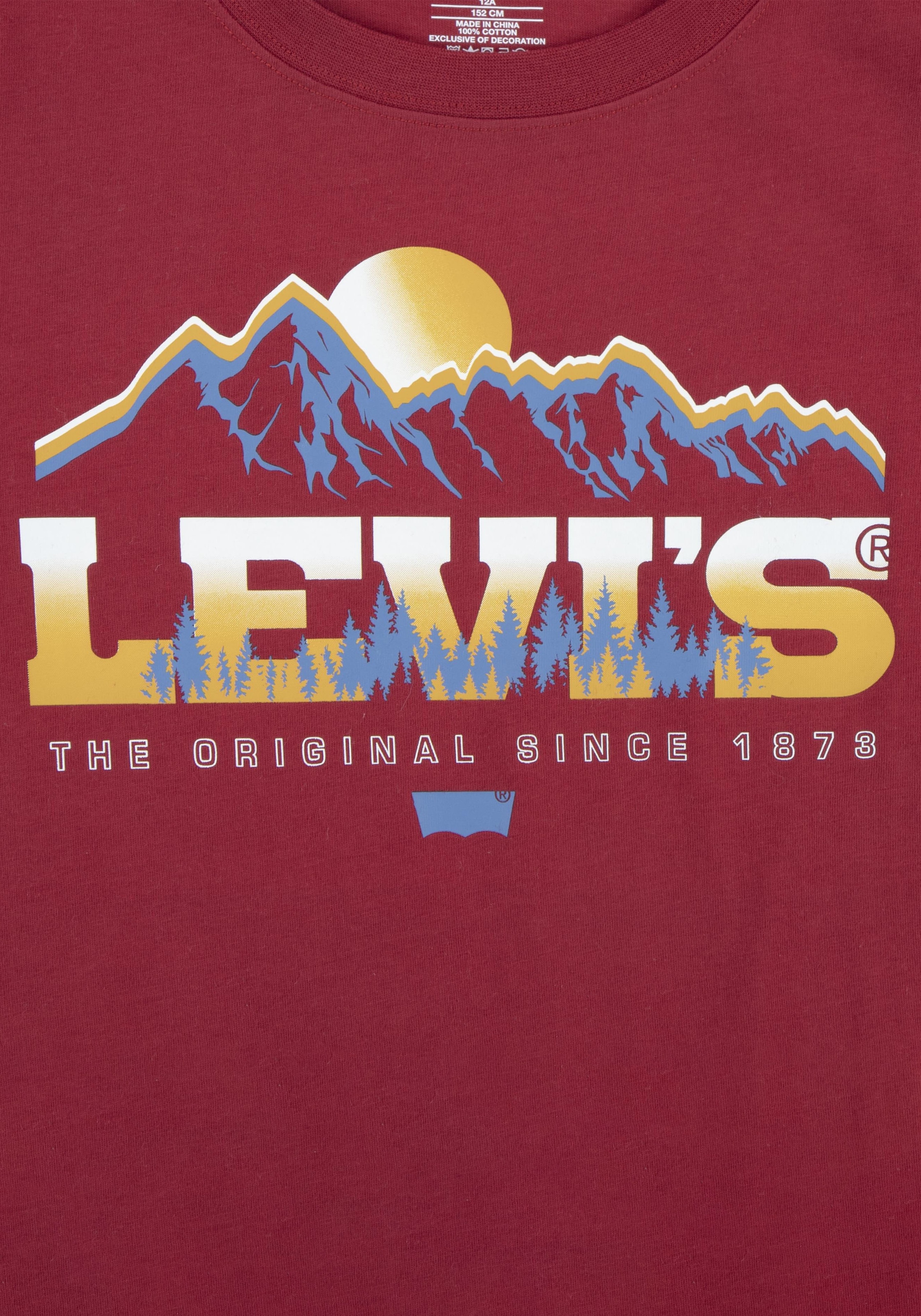 Levi's® Kids Print-Shirt »LVB MAJESTIC MOUNTAINS TEE«, for BOYS aus reiner Baumwolle