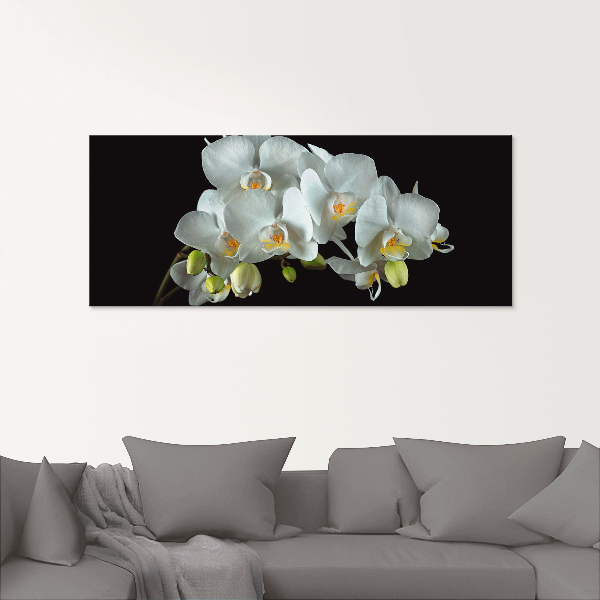 Artland Glasbild »Weisse Orchidee auf schwarzem Hintergrund«, Blumen, (1 St.), in verschiedenen Grössen