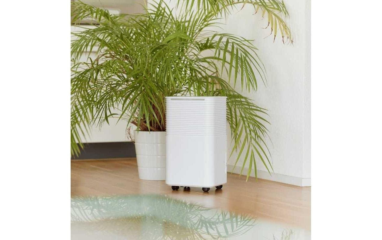 Luftentfeuchter »Ecofort ecoQ DryAir 12L Essential 30 m²«, für 30 m³ Räume, Tank 2 l