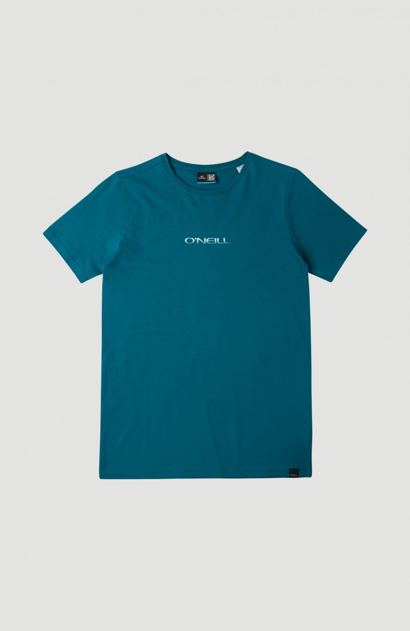 O'Neill T-Shirt »"RETRO SUNSET"«