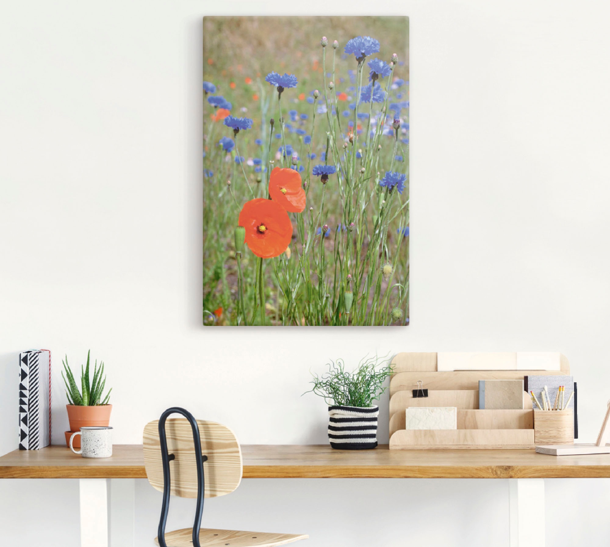 Artland Wandbild »Wiese mit Mohnblumen und Kornblumen«, Blumen, (1 St.),  als Alubild, Leinwandbild, Wandaufkleber oder Poster in versch. Grössen  online kaufen | Jelmoli-Versand