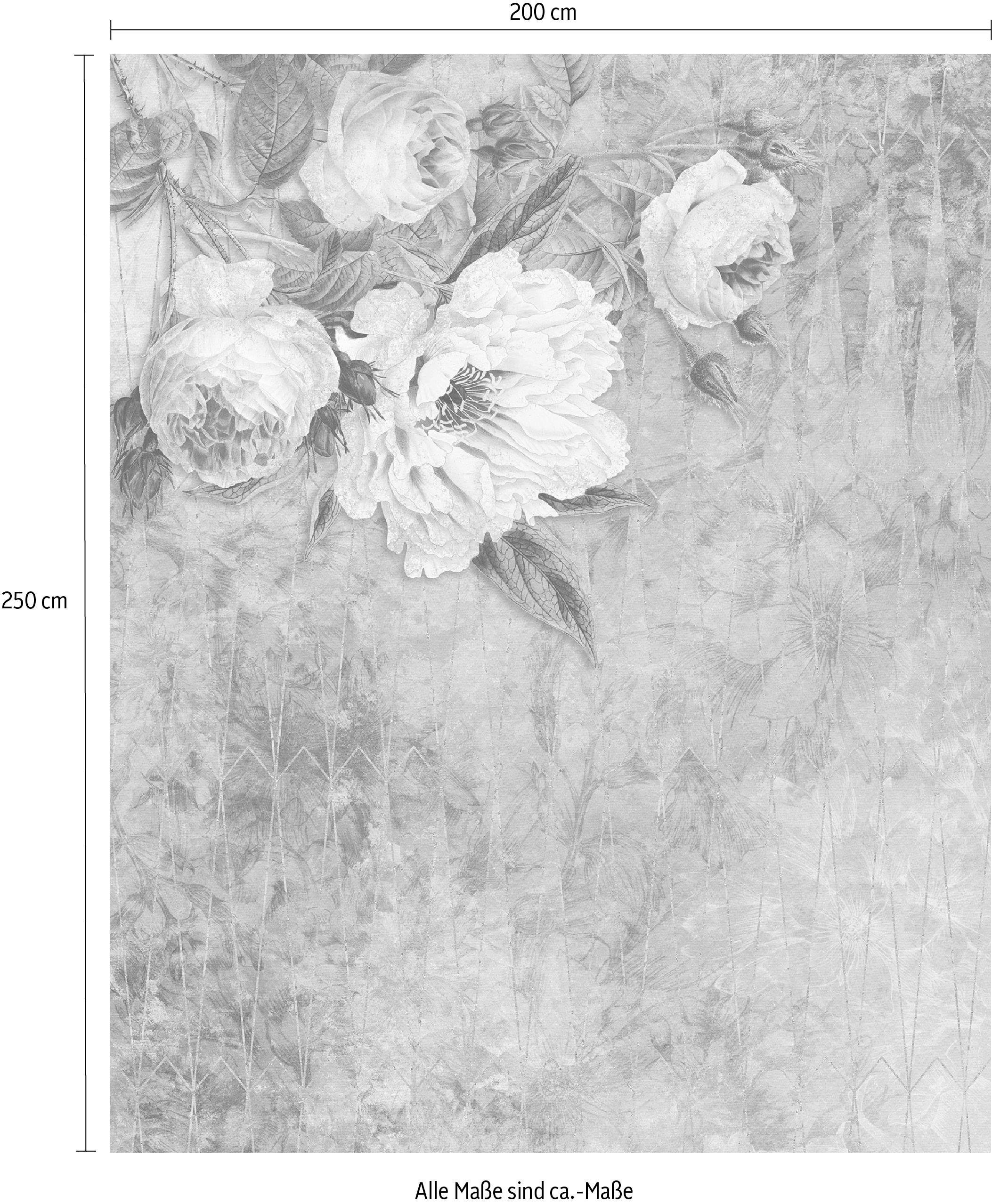 Komar Vliestapete »Digitaldruck Vlies - La Rosa - Grösse 200 x 250 cm«, bedruckt, Wohnzimmer, Schlafzimmer
